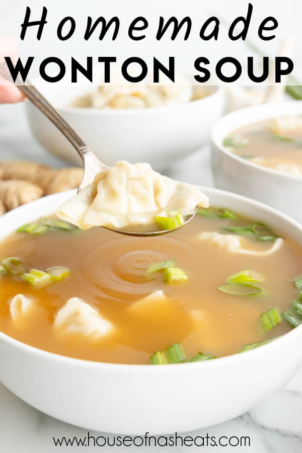 A spoon lifting a wonton with text overlay.