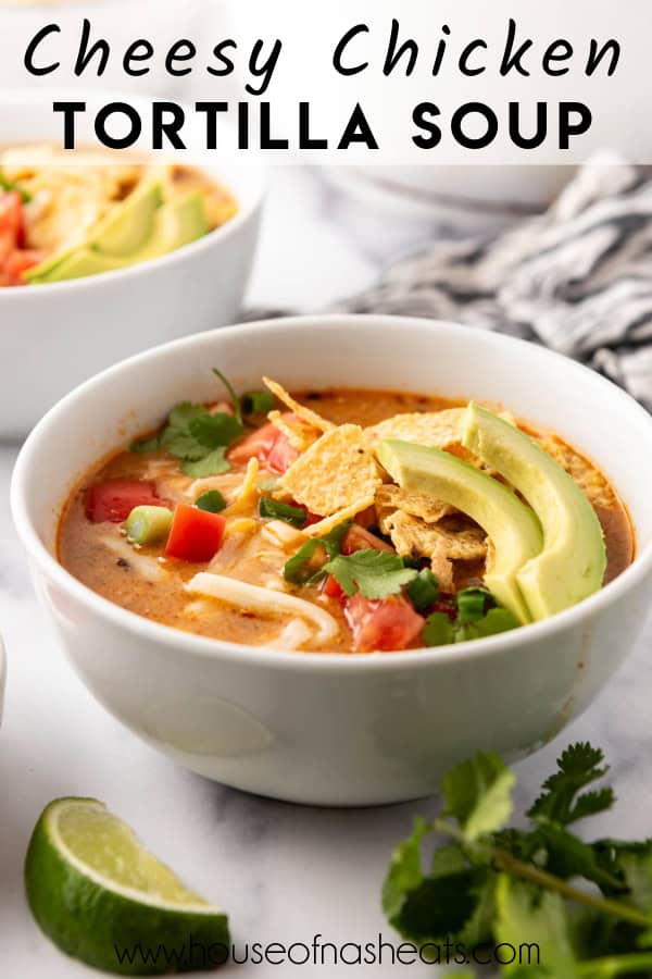 A bowl of chicken tortilla soup with text overlay.