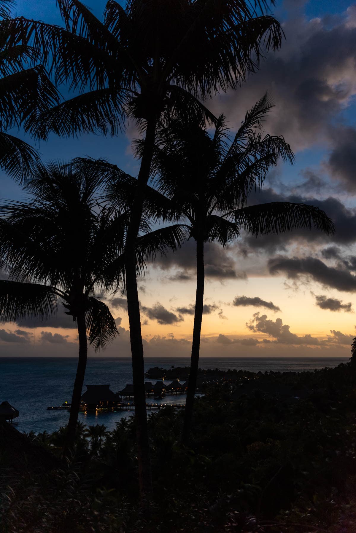 An image of twilight with the silhouettes of palm trees and clouds over the ocean.