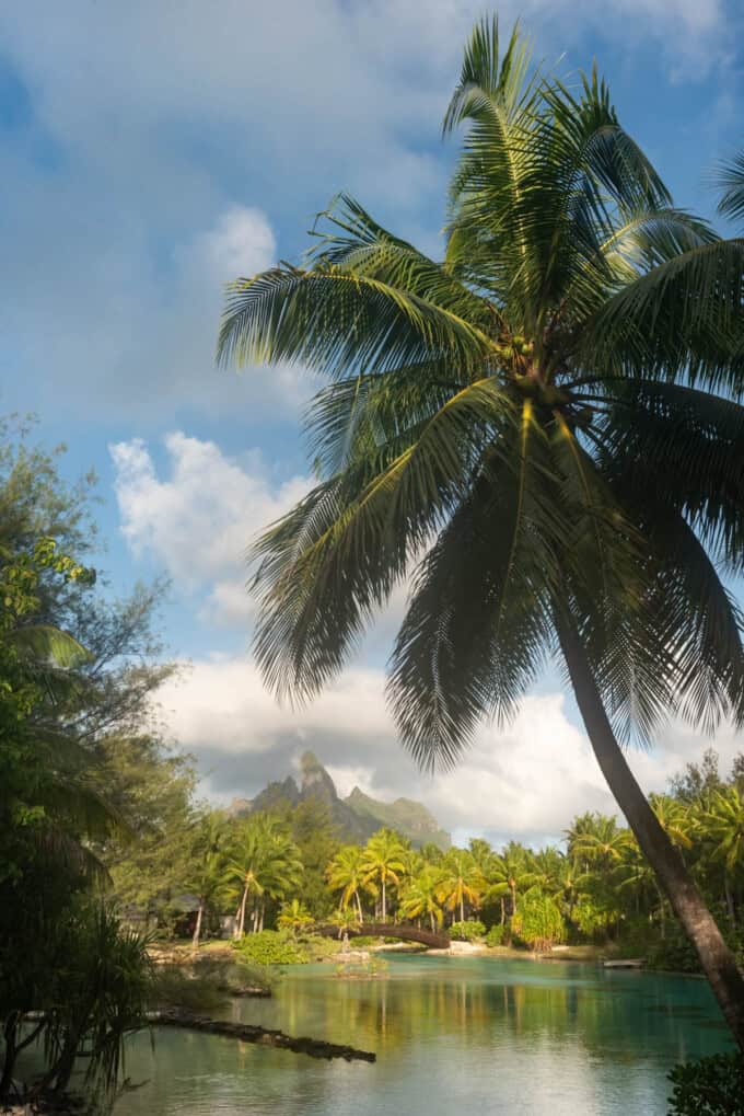 An image of the lagoon at the St. Regis in Bora Bora.