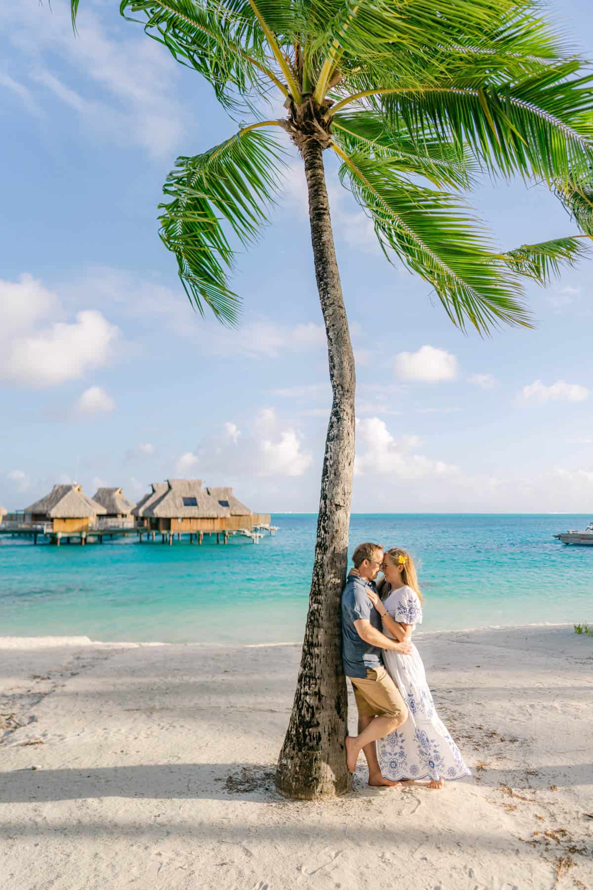 An image of a couple on a beach leaning against a palm tree.