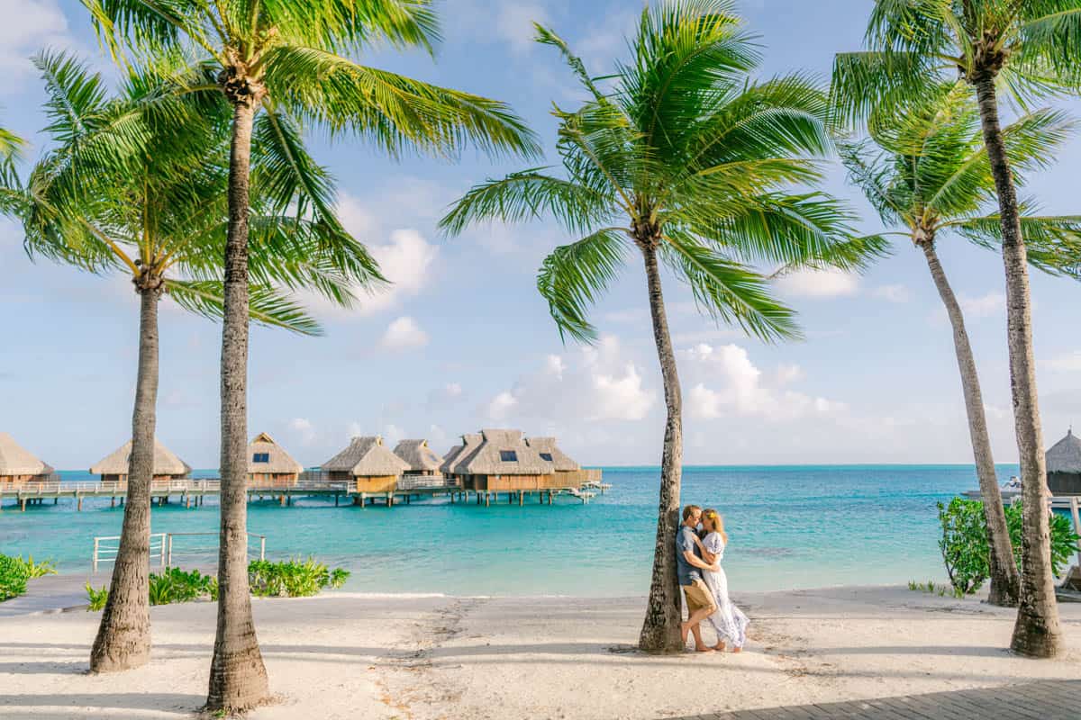 An image of a couple on a beach leaning against a palm tree.