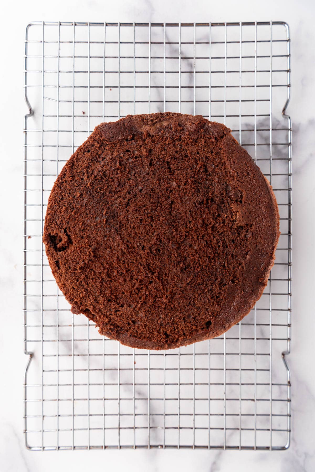 Baked chocolate cake on a wire cooling rack.