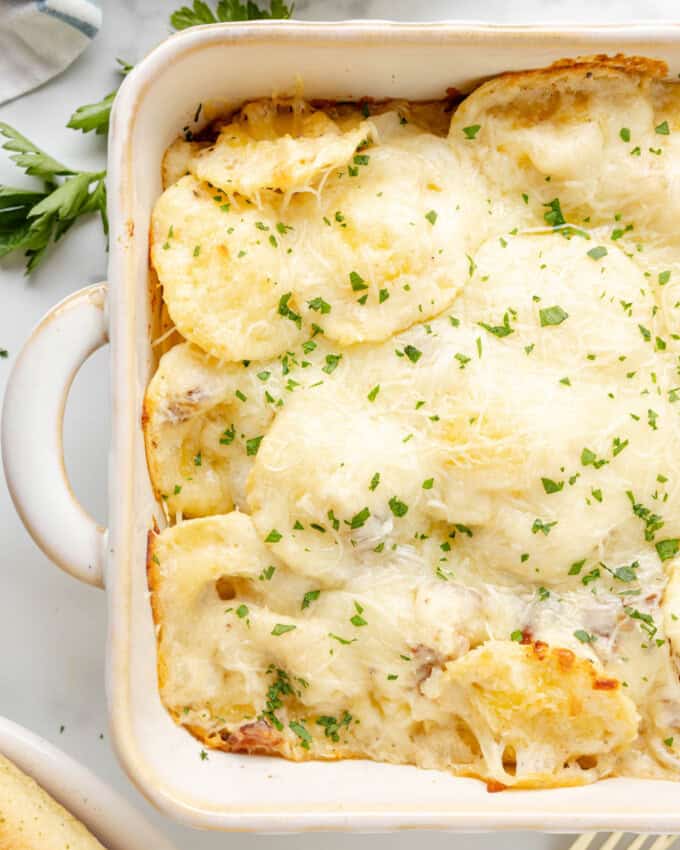 A close image of ravioli carbonara in a large baking dish.