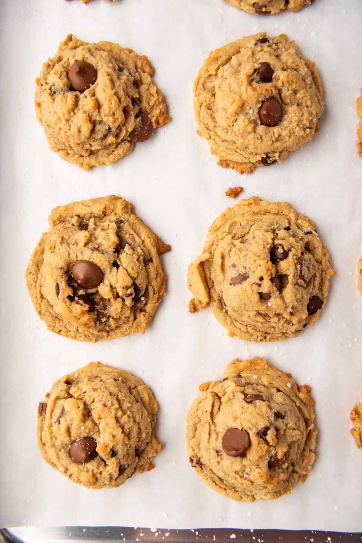 Six large oatmeal peanut butter chocolate chip cookies on parchment paper.