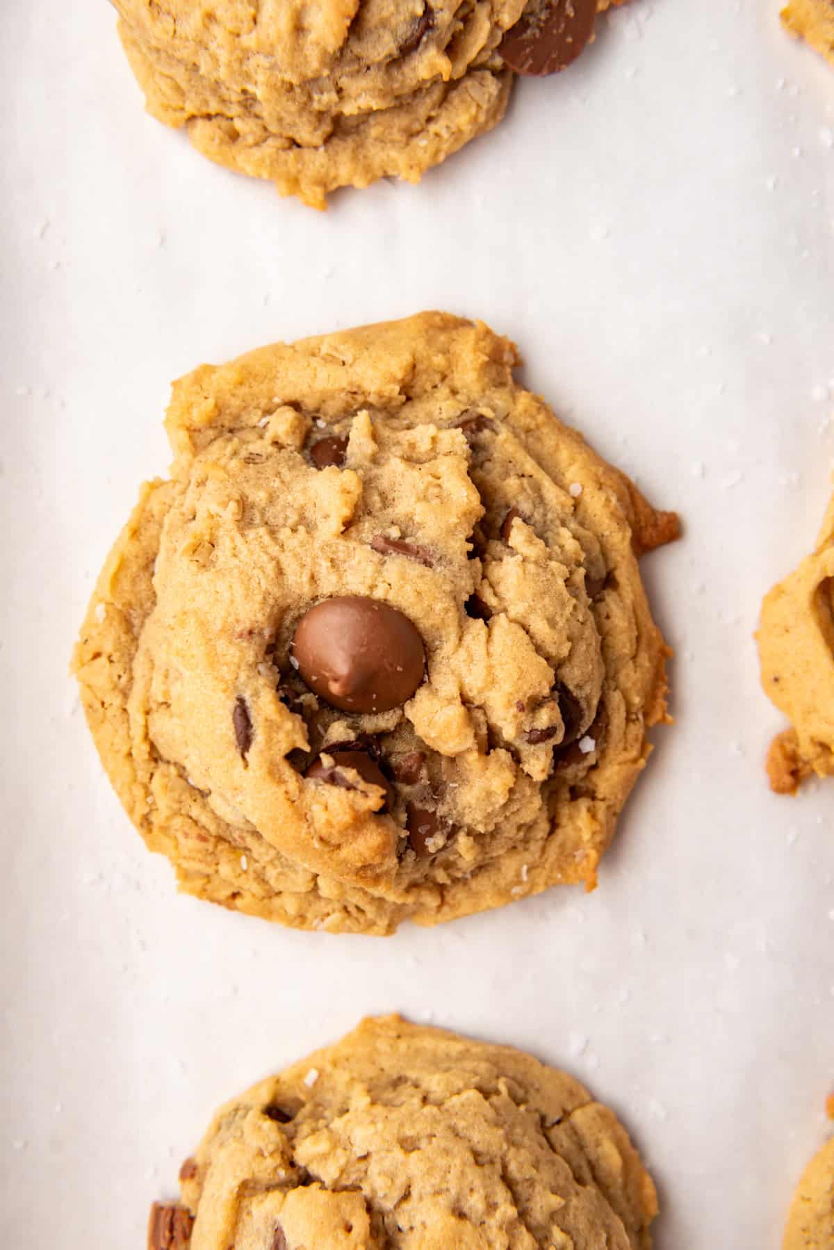 A close up image of a soft baked oatmeal peanut butter chocolate chip cookie.