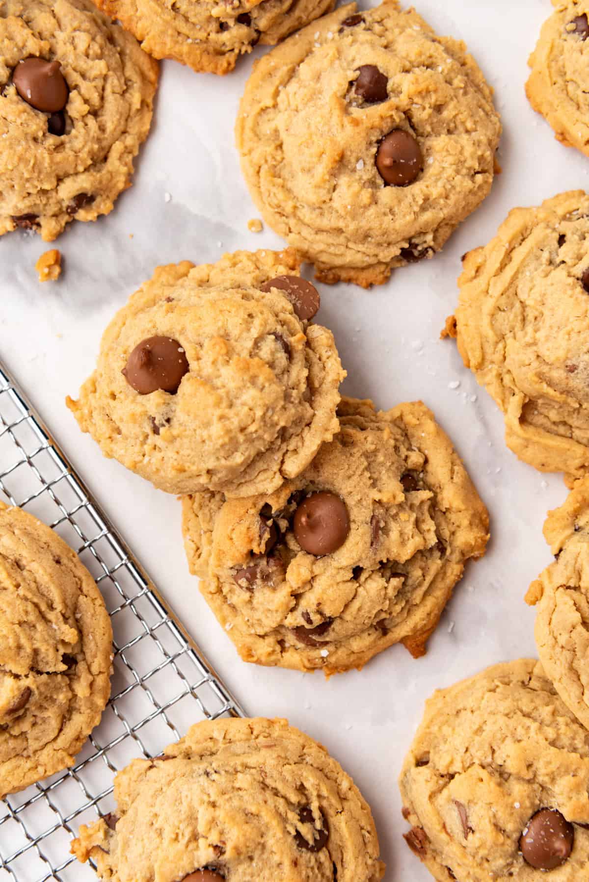 An overhead image of soft oatmeal peanut butter chocolate chip cookies.