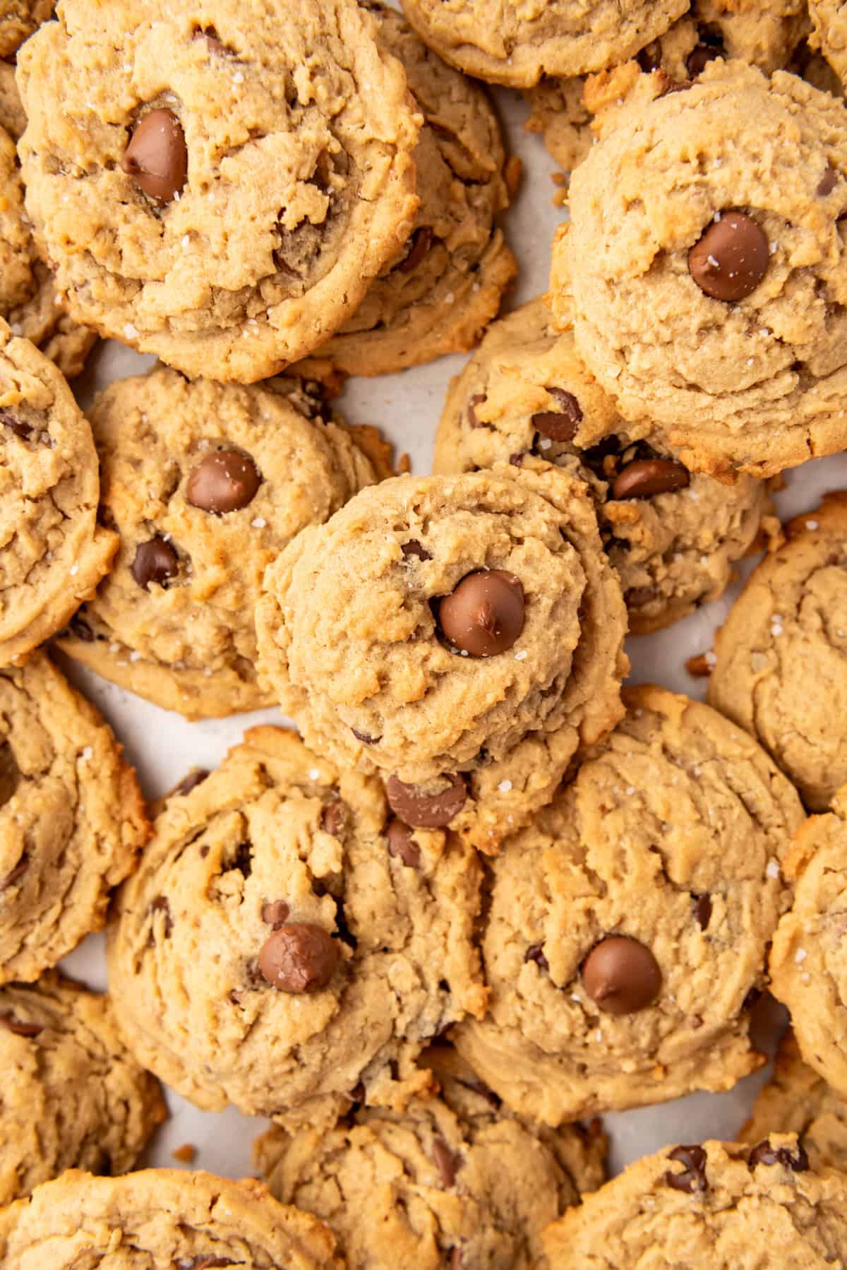 An overhead image of oatmeal peanut butter chocolate chip cookies.