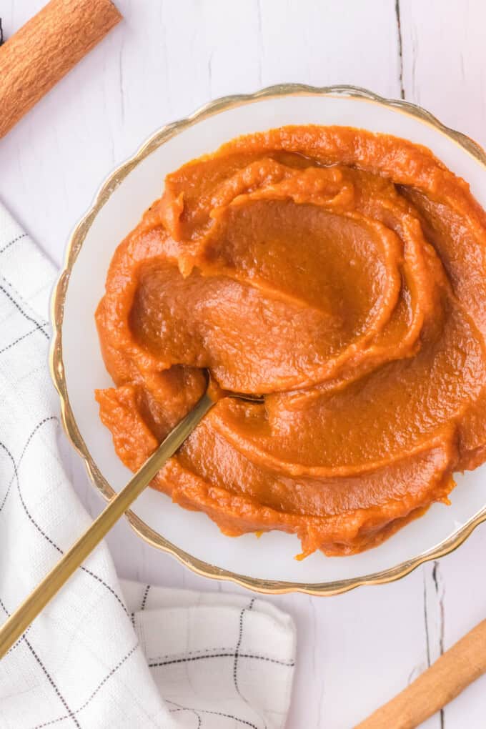 A spoon in a bowl of pumpkin butter.