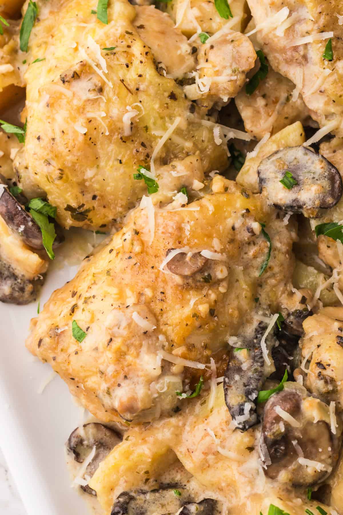 A close up image of tender chicken thighs with a creamy garlic parmesan mushroom sauce.