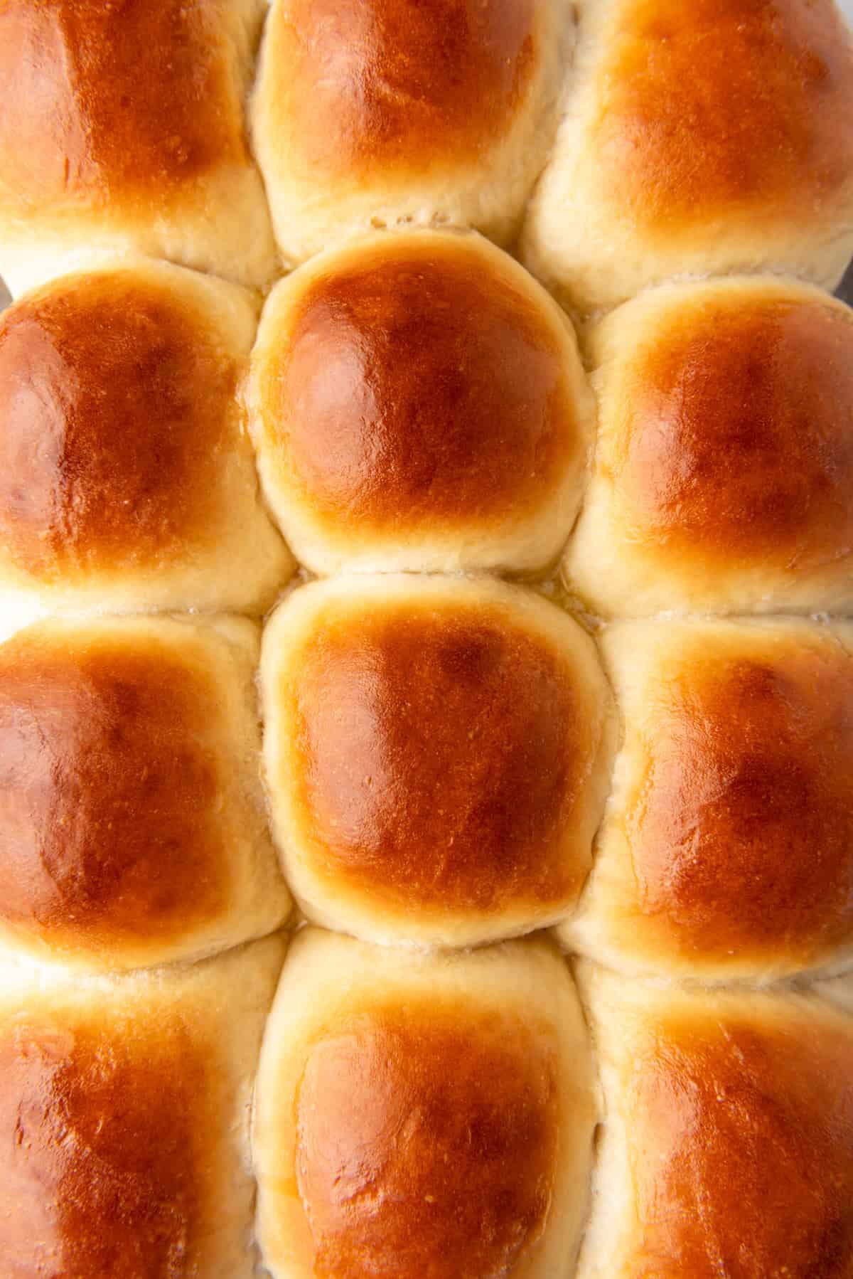 An overhead image of dinner rolls with golden brown tops.