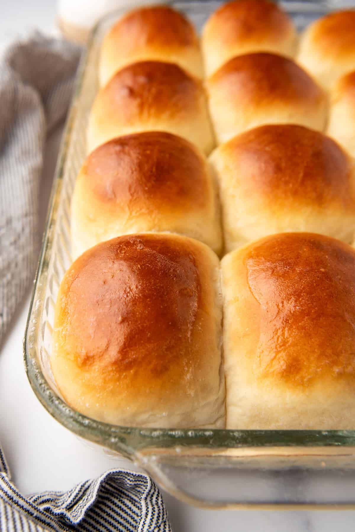 A close up image of buttery dinner rolls in rows.