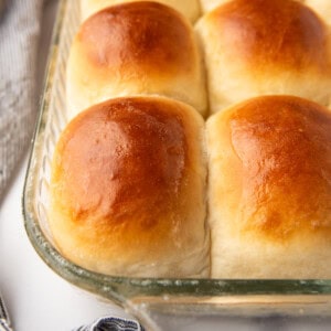 A close up image of buttery dinner rolls in rows.