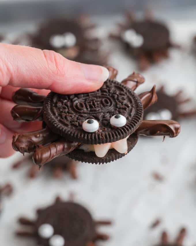 A hand holding an Oreo spider.