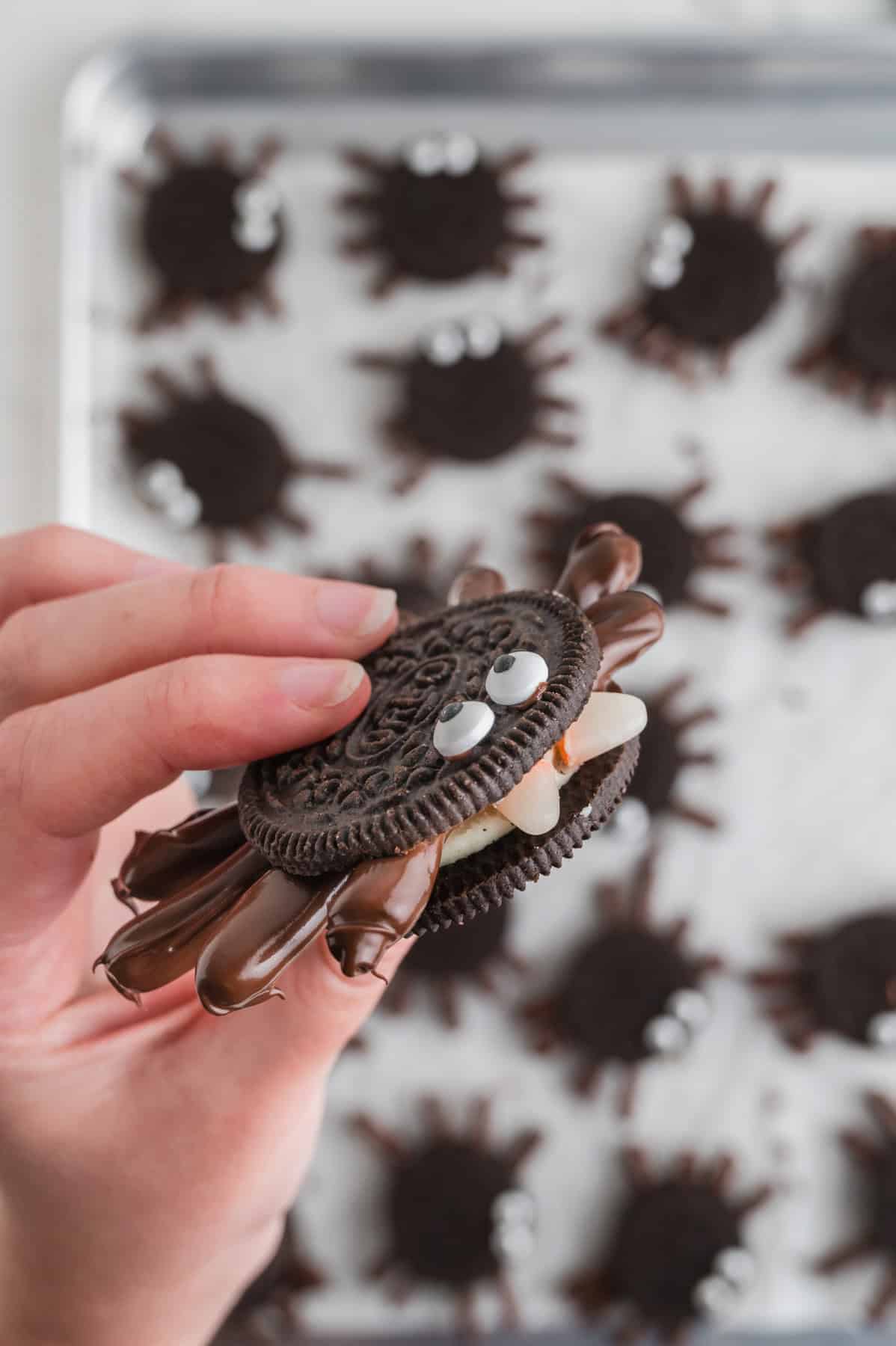 A hand holding an Oreo spider.