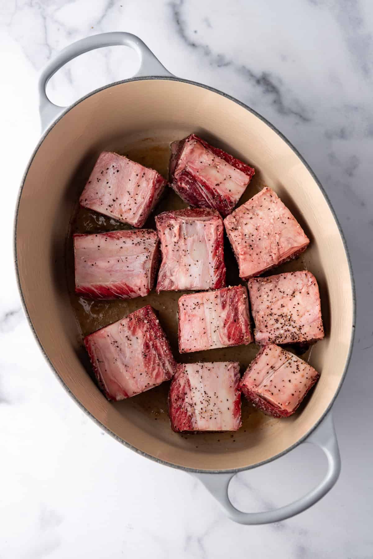 Overhead image of seasoned short ribs placed in a large dutch oven.