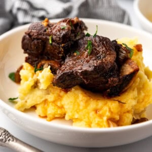 Close up image of a serving of Braised Short Ribs on a bed of mashed potatoes, in a white plate on a white countertop.