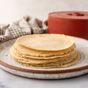 An image of homemade corn tortillas stacked on a plate.