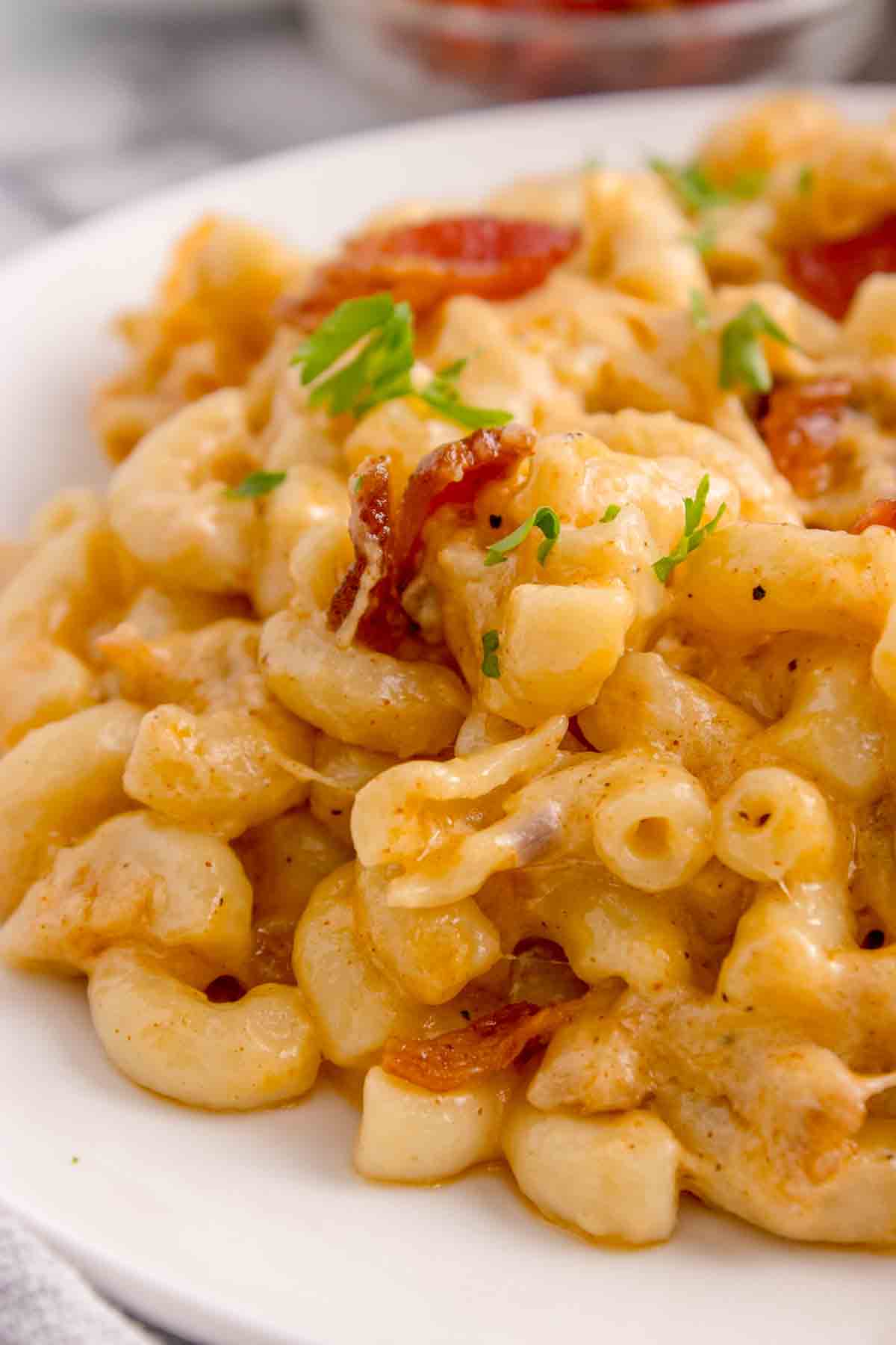 A close up image of a plate of lobster mac and cheese.