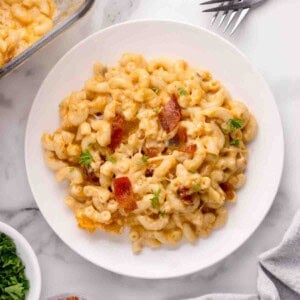 An overhead image of a plate of lobster mac and cheese.