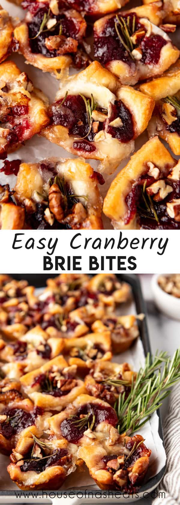 A collage of images of cranberry brie bites with text overlay.