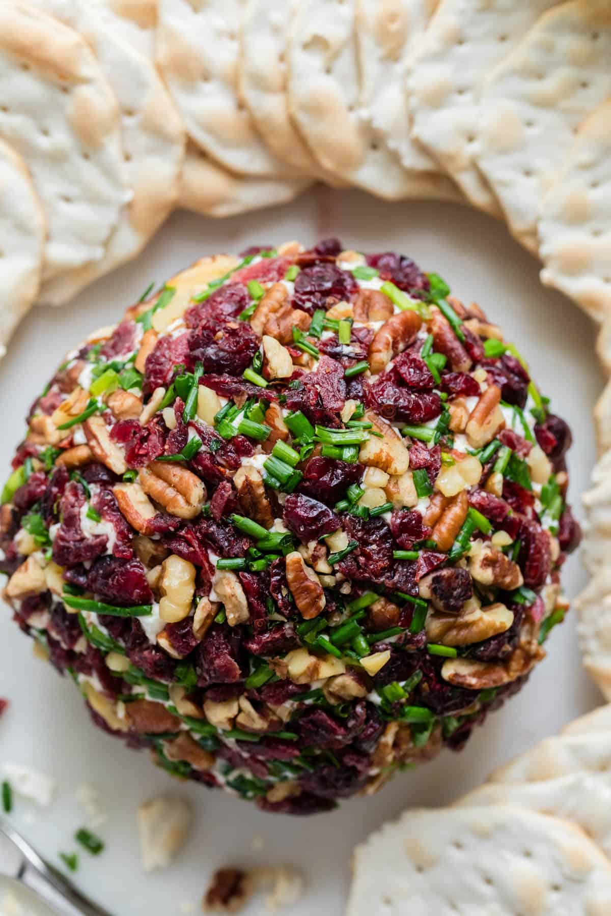 An overhead image of a cranberry pecan cheeseball.