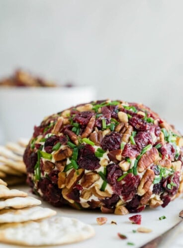 A cheeseball covered in chopped pecans, cranberries, and chives.