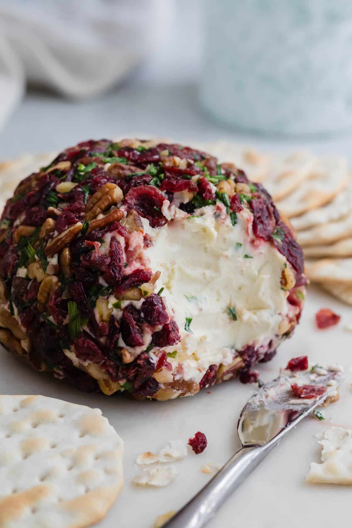 An image of a cranberry pecan cheese ball.