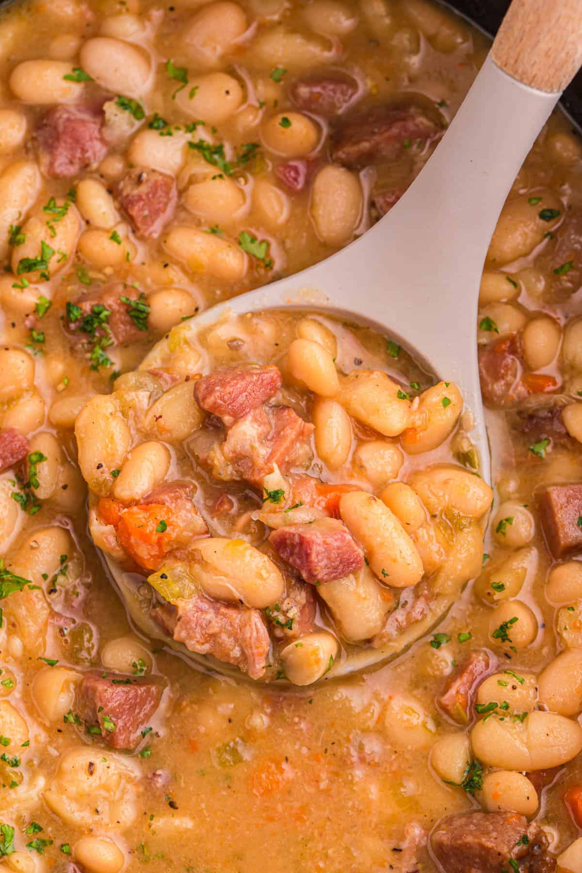 A ladle lifting a scoop of crockpot ham and bean soup.