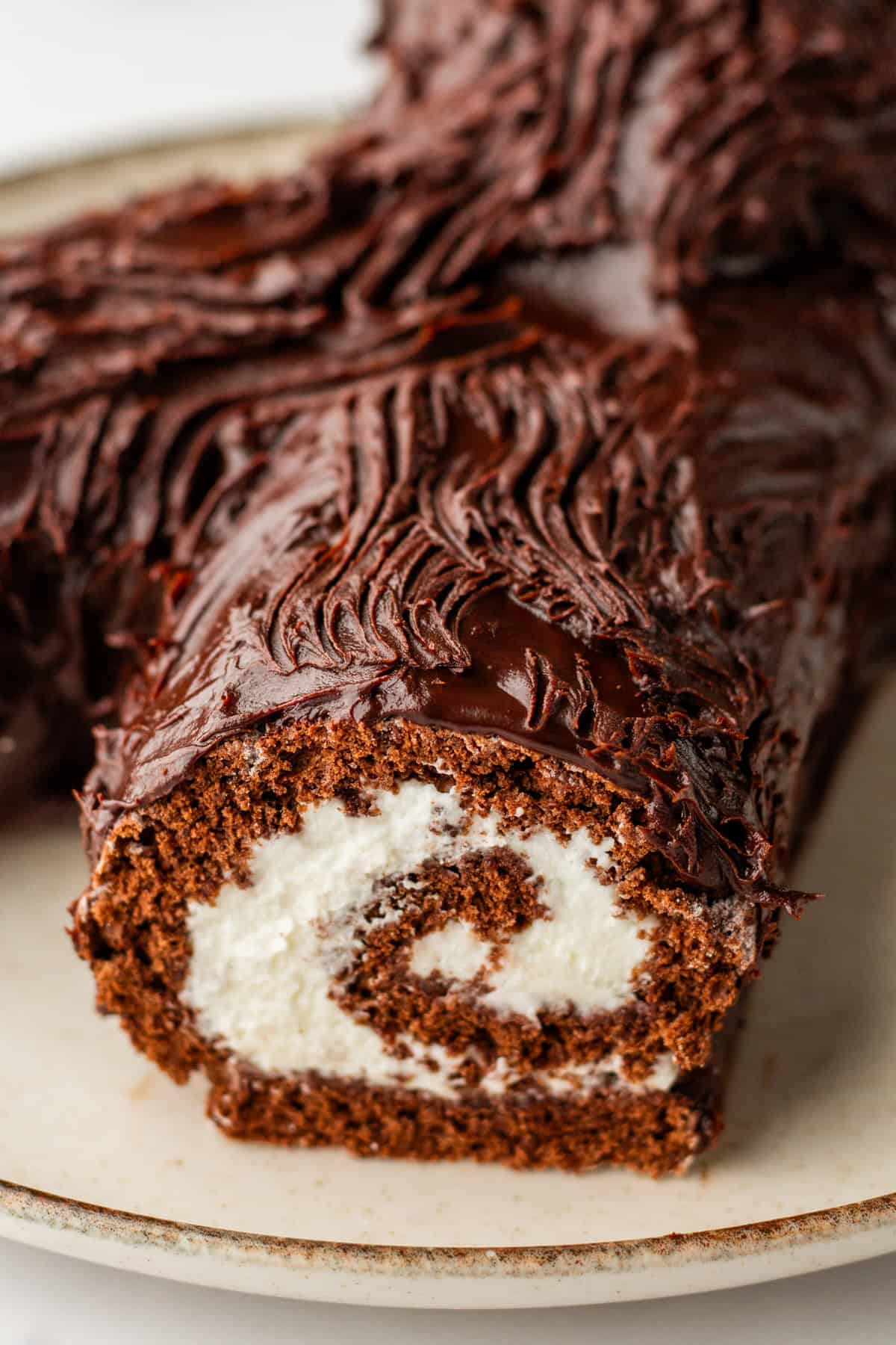 A close up image of a yule log cake frosted with chocolate ganache.