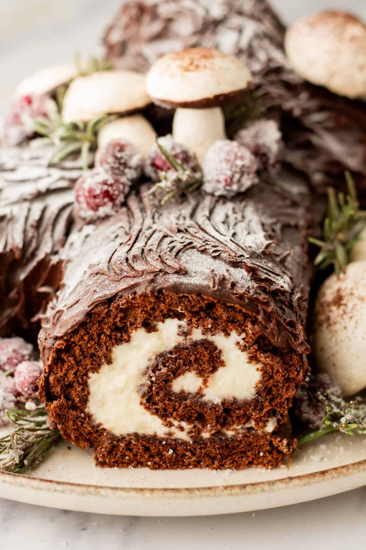 A side view of a yule log dessert.