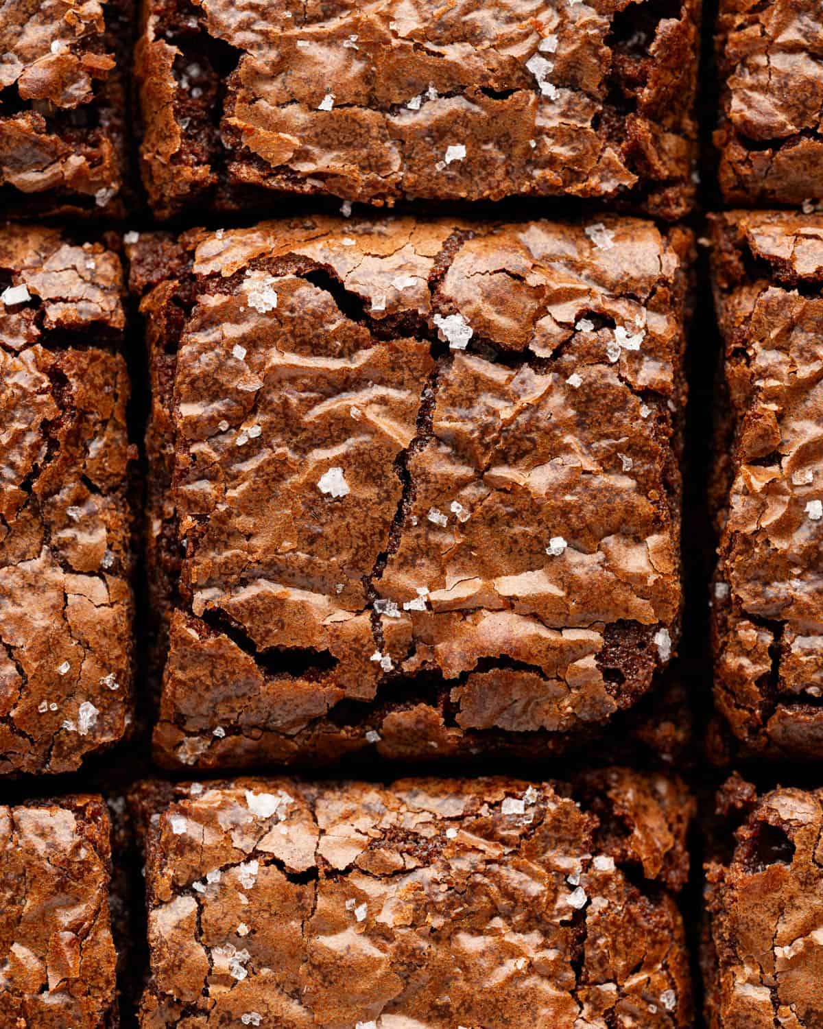 A close up image of sliced brownies.