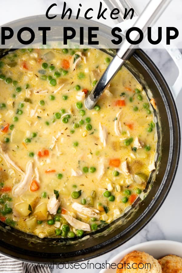 An overhead image of a pot of chicken pot pie soup.