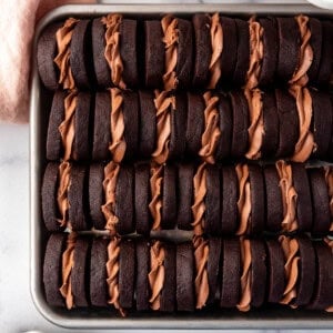 An overhead image of chocolate shortbread cookies sandwiched around a whipped Nutella ganache filling.