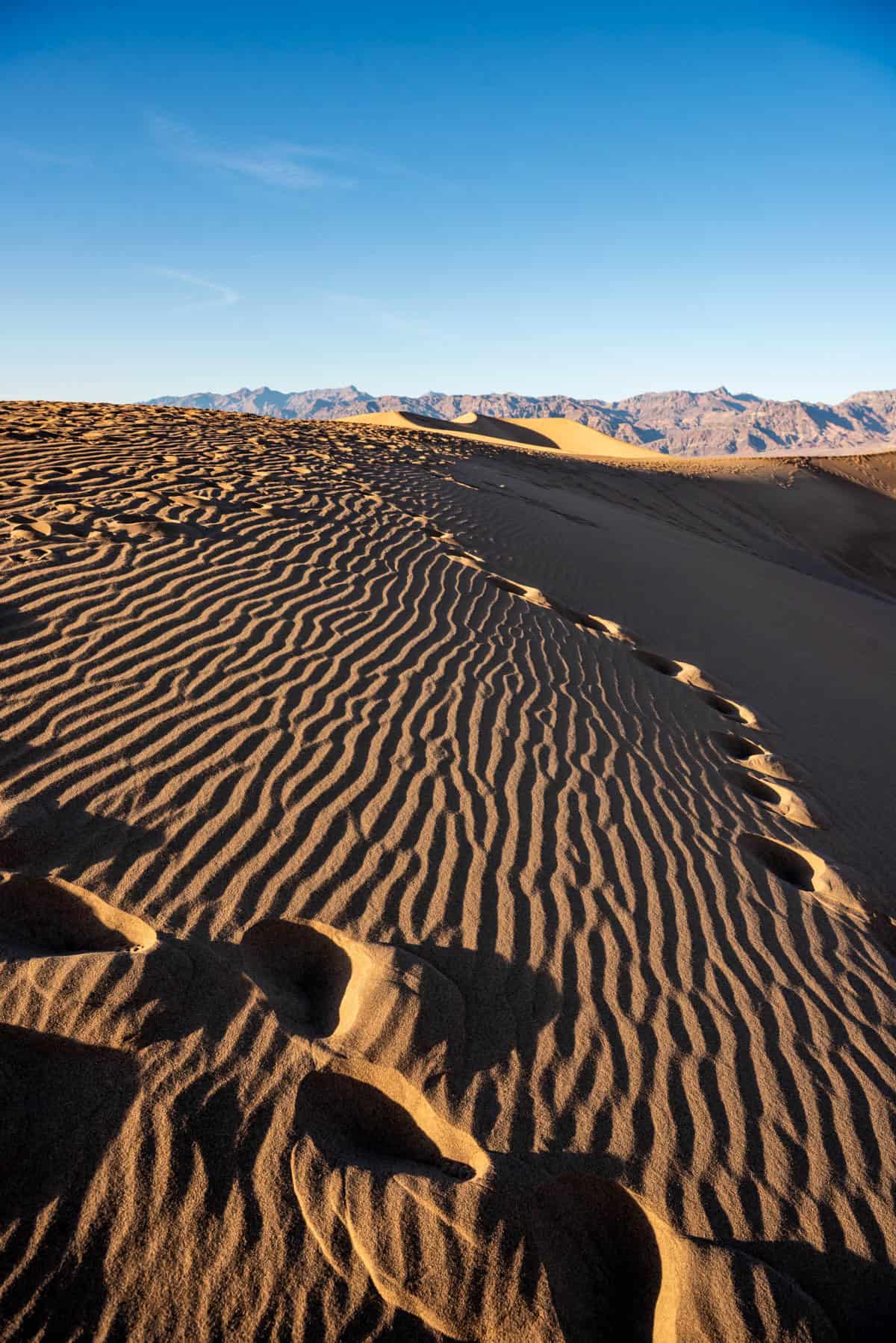 An image of footprints in  a sand dune with a much larger sand dune in the far background in Death Valley National Park.