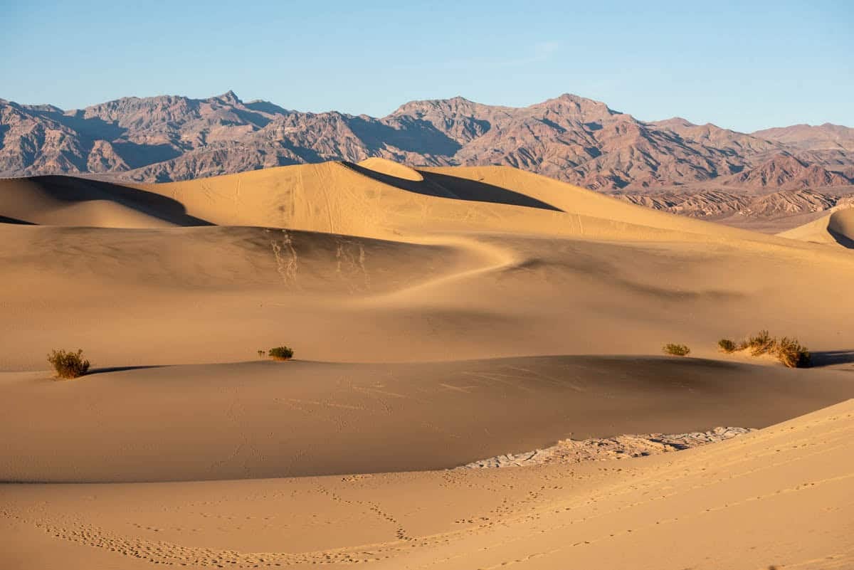 An image of the Mesquite Flat Sand Dunes in Death Valley.