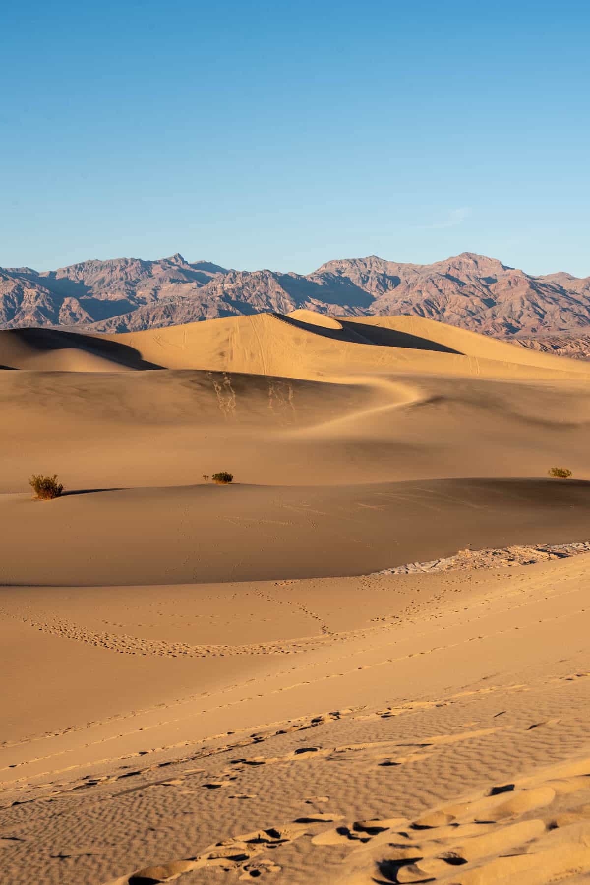 An image of the Mesquite Flat Sand Dunes in Death Valley National Park.