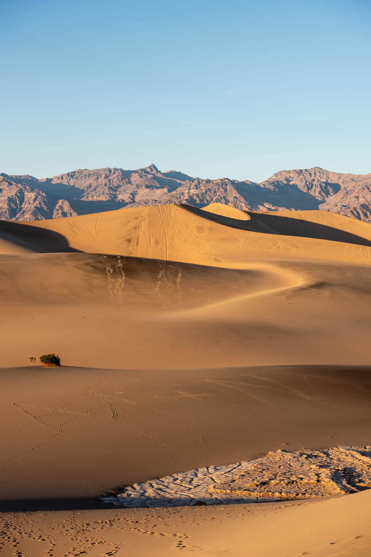 Giant sand dunes at Mesquite Flat in Death Valley National Park.