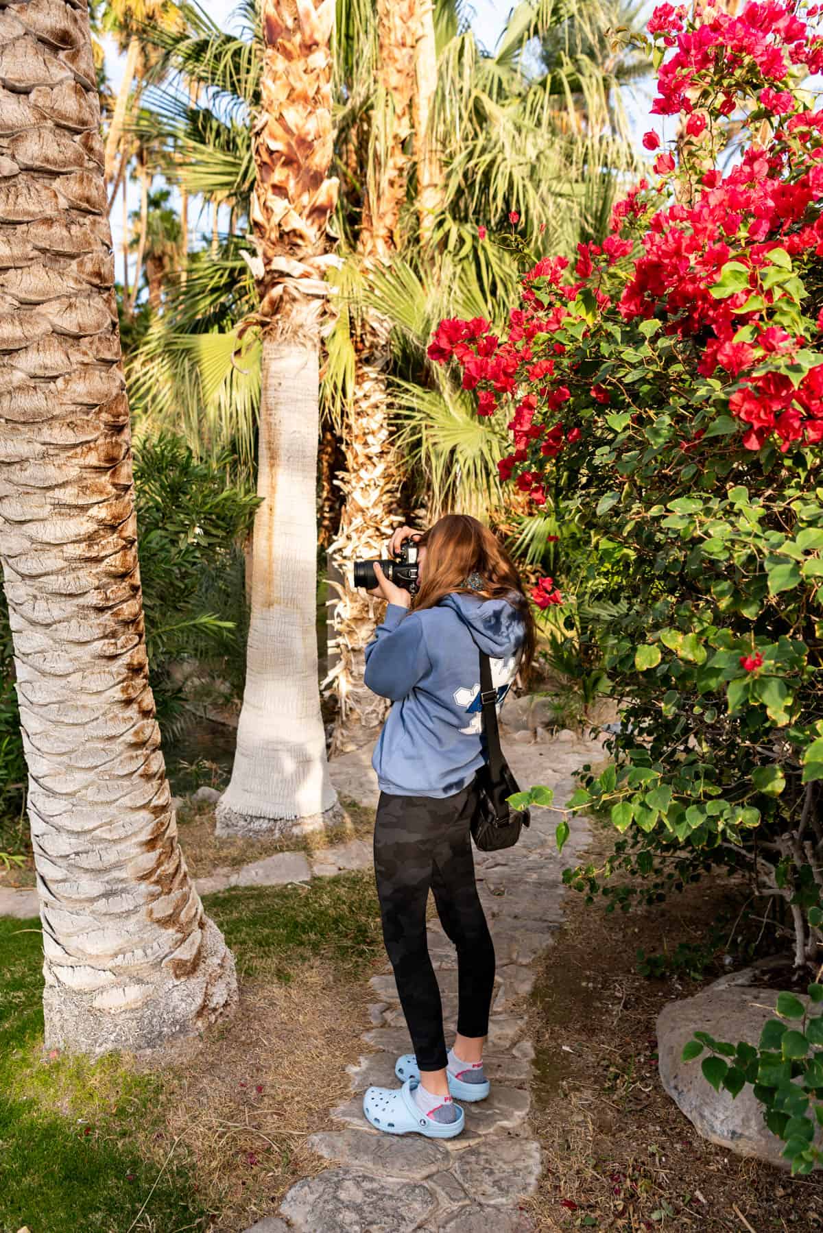 A girl photographing palm trees in Death Valley.