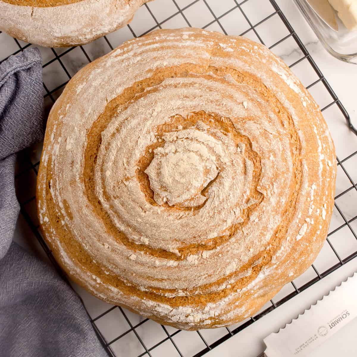 No Knead Whole Wheat Bread