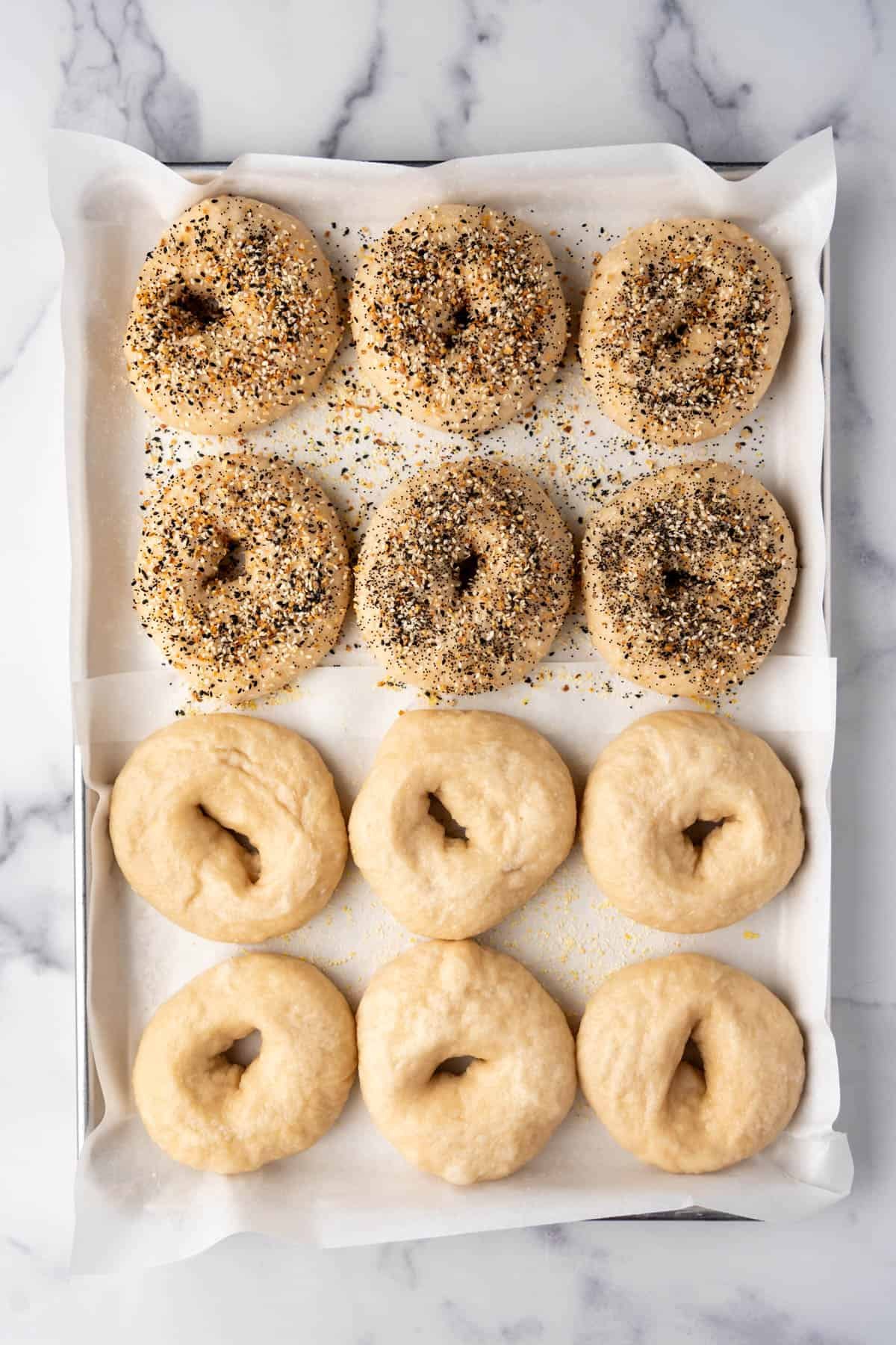An image of a dozen bagels ready to be baked.