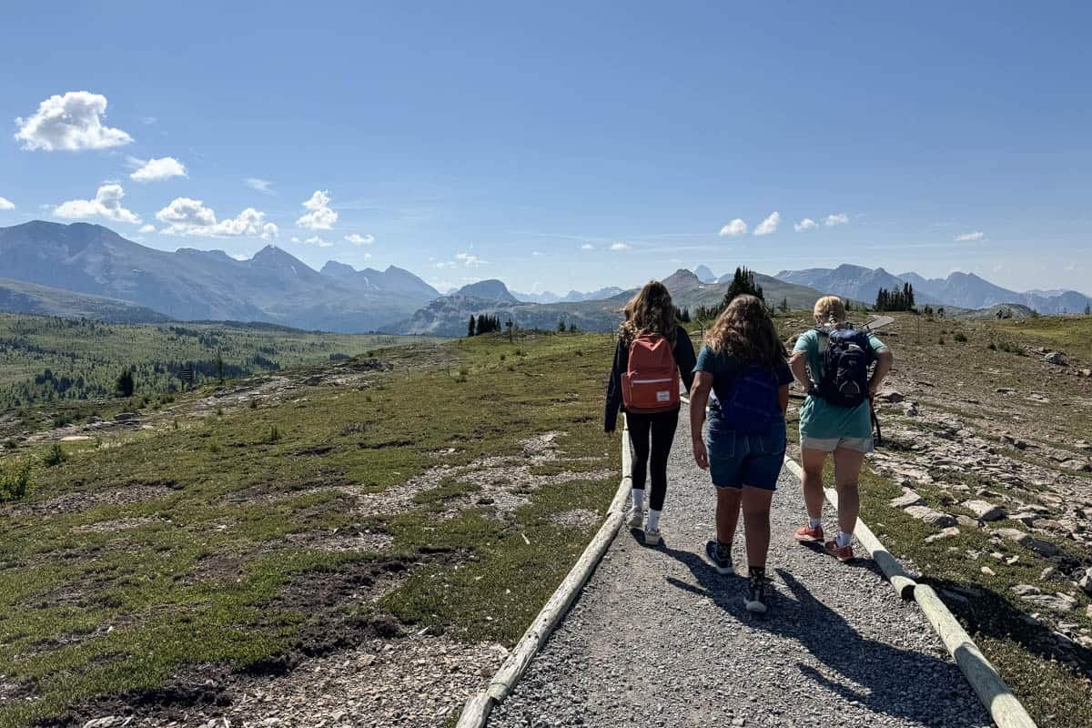 Kids hiking on a trail through an alpine meadow.