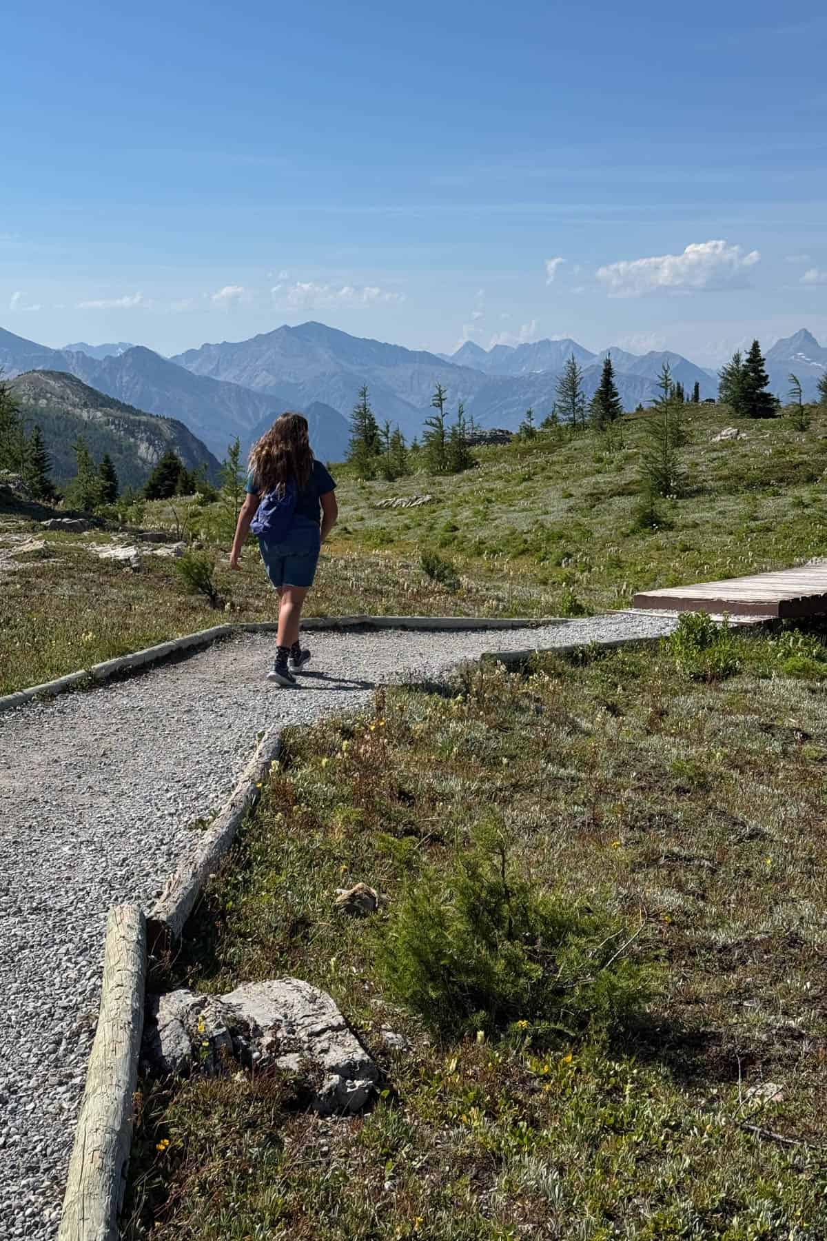 A girl hiking along a path through a meadow.