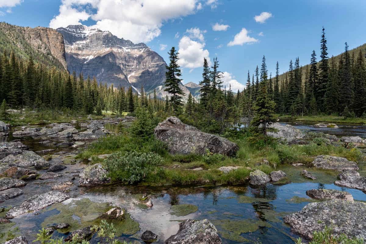An image of rocks, shrubs, trees, mountains, and water in Canada's Banff National Park.