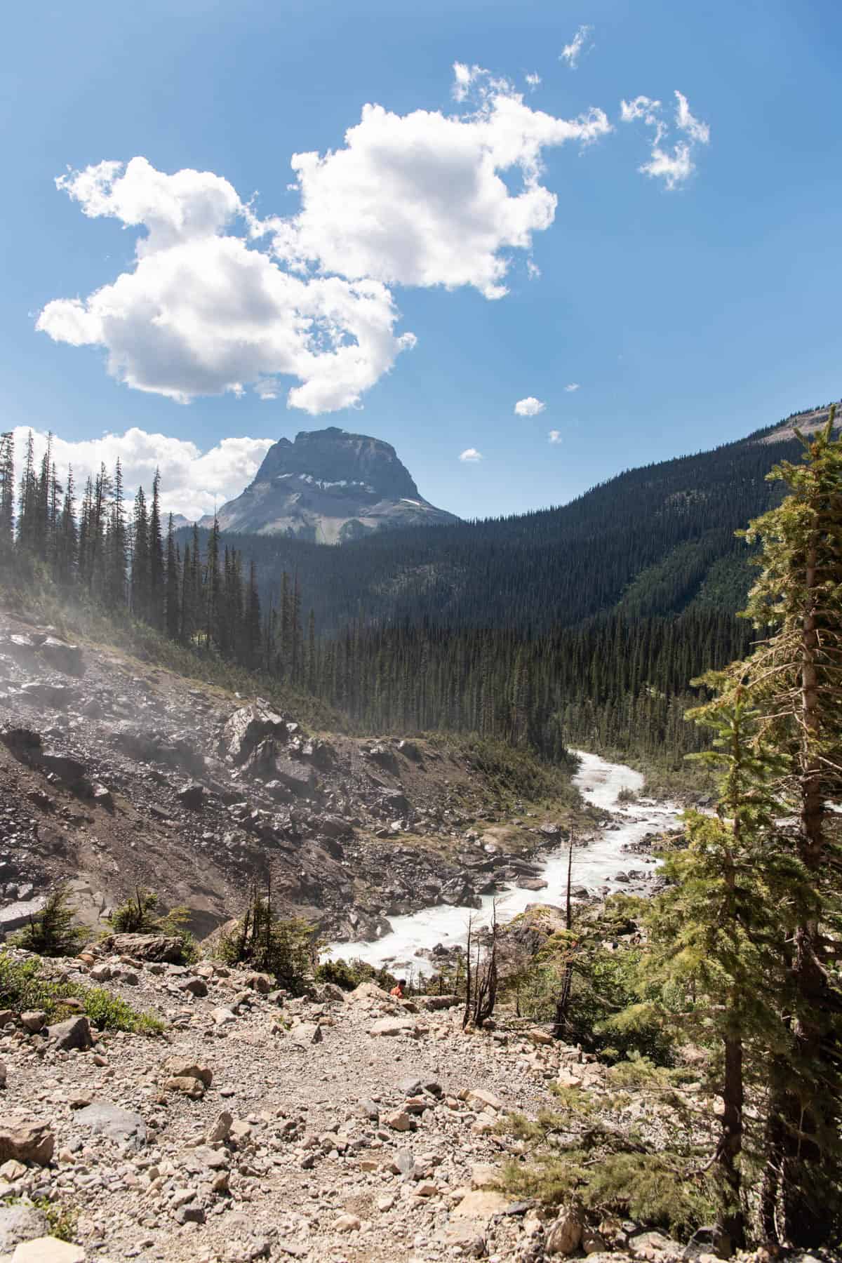 An image of a river with a mountain in the background.