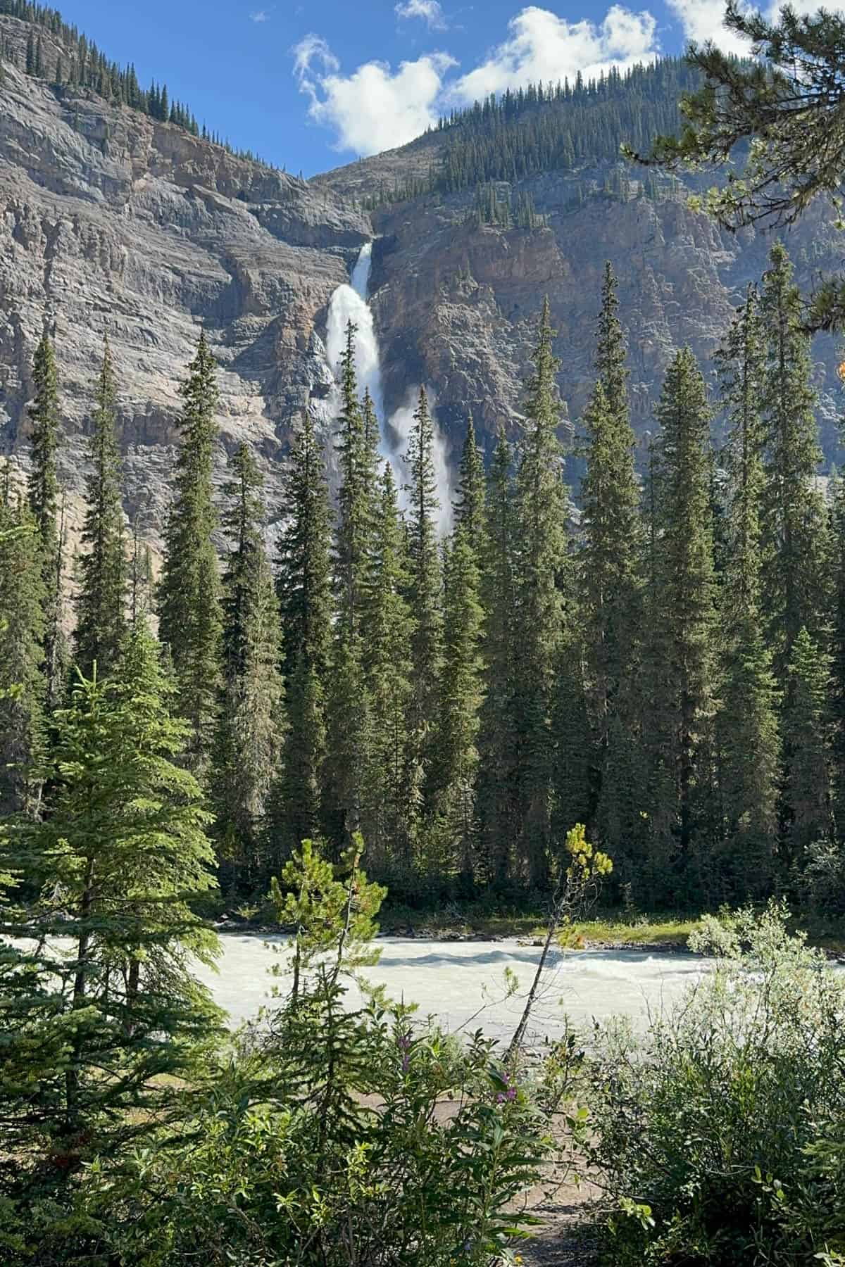 An image of a river in front of trees in front of a waterfall.