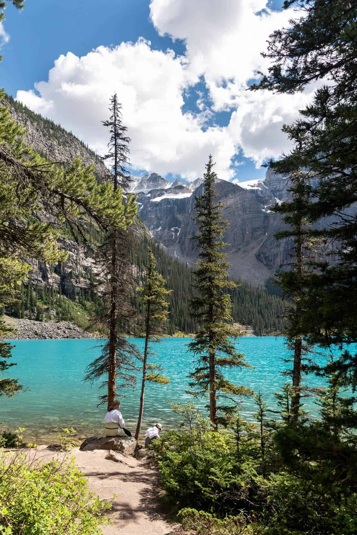 Trees along the edge of Moraine Lake in Banff National Park.