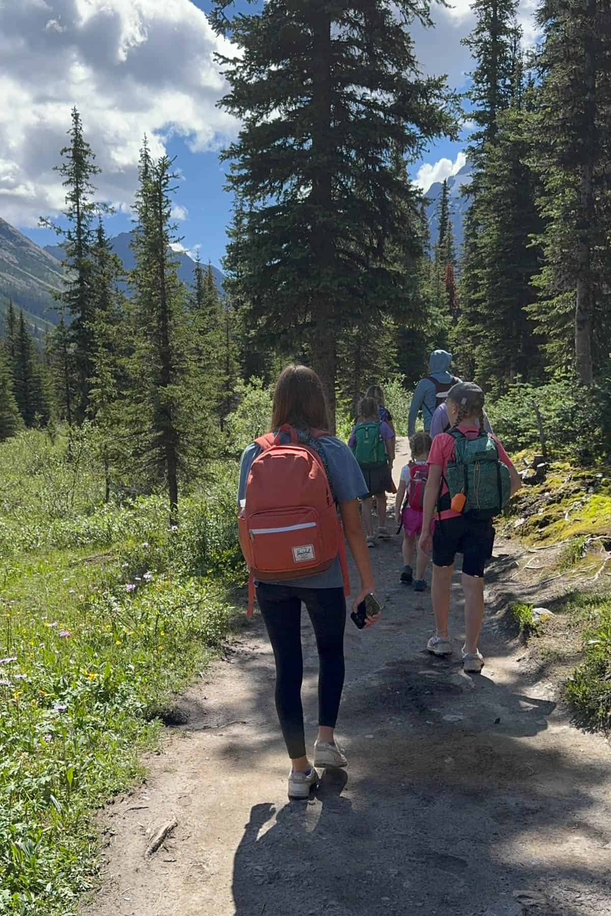 People with backpacks hiking along a trail in Banff National Park.