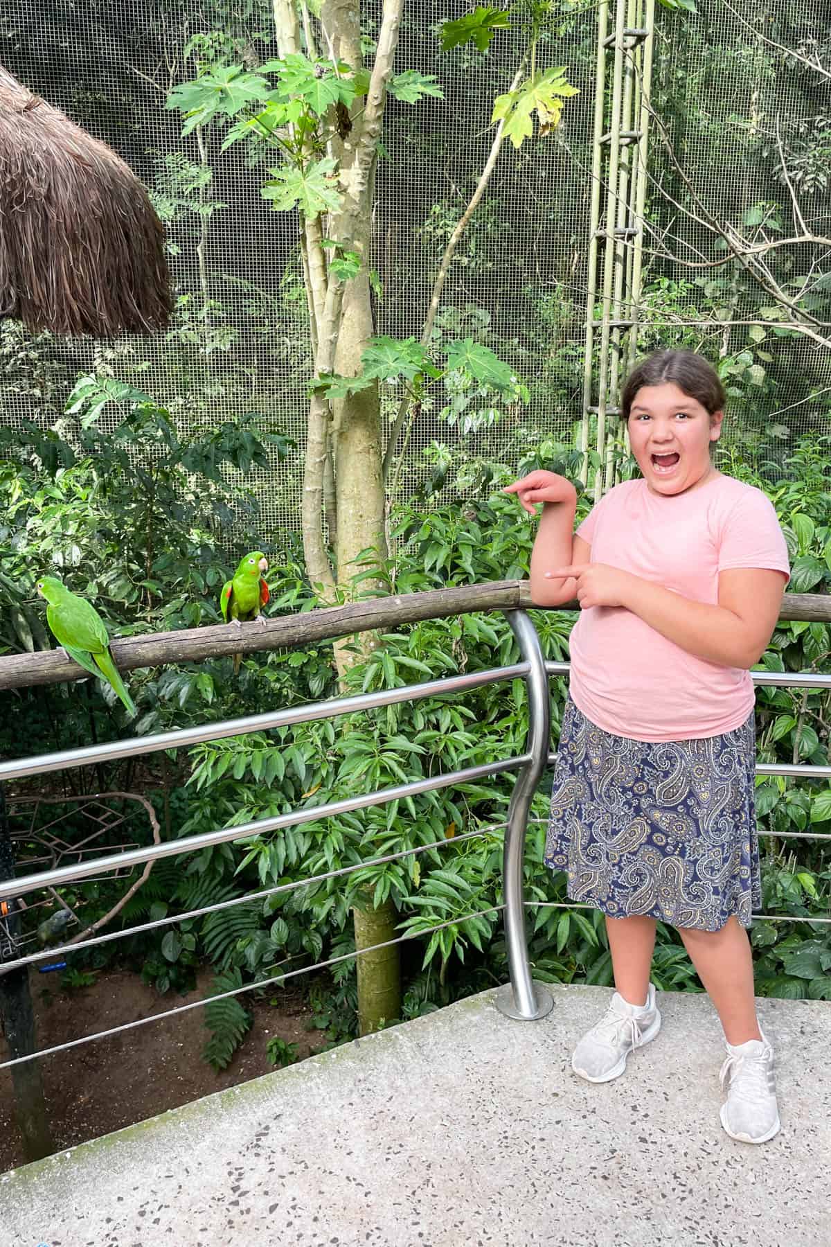 A girl standing near green parrots on a railing.