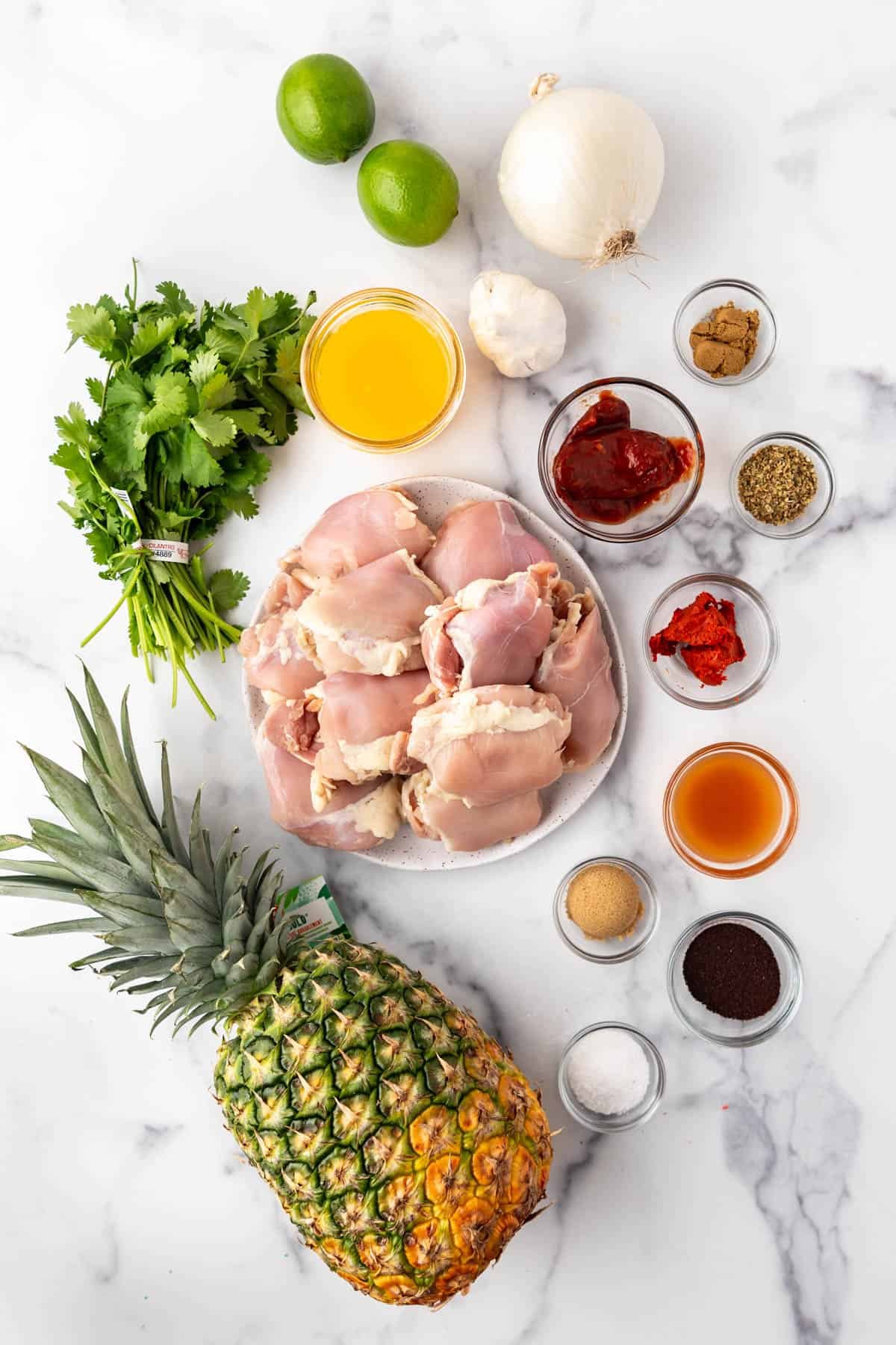 Ingredients for making chicken al pastor.